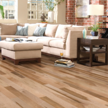 Aliquam dolor tellus