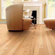 Suspendisse imperdiet